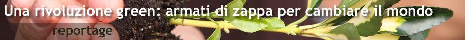 Evidenza